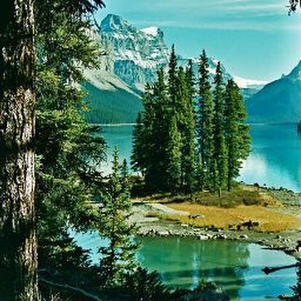 Meet your Posher, Lou